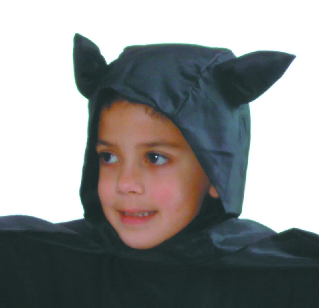 Bat Hero / Spider Hero Reversible Cape Costume for Creative Play and Halloween