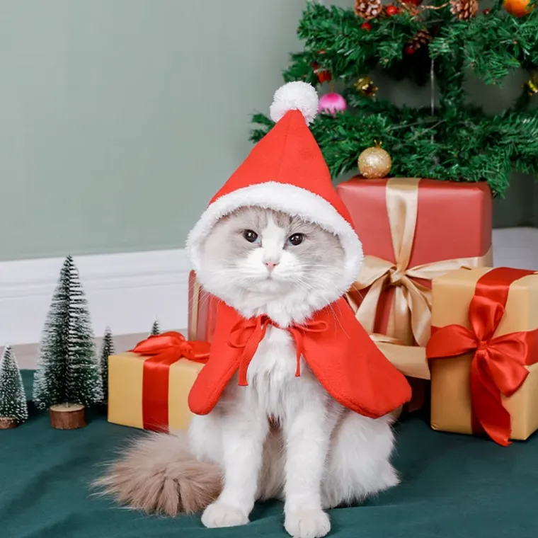 Pet Costume Santa Cosplay Funny Transformed Cat/Dog | BUY ONE GET ONE 50% OFF!!!