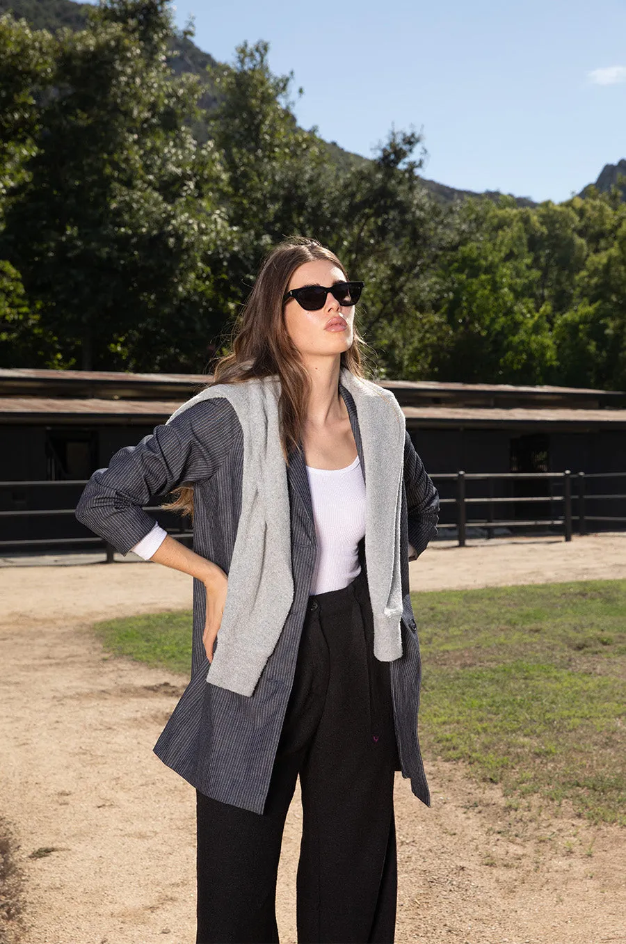 RELAXED BLAZER IN DENIM STRIPE