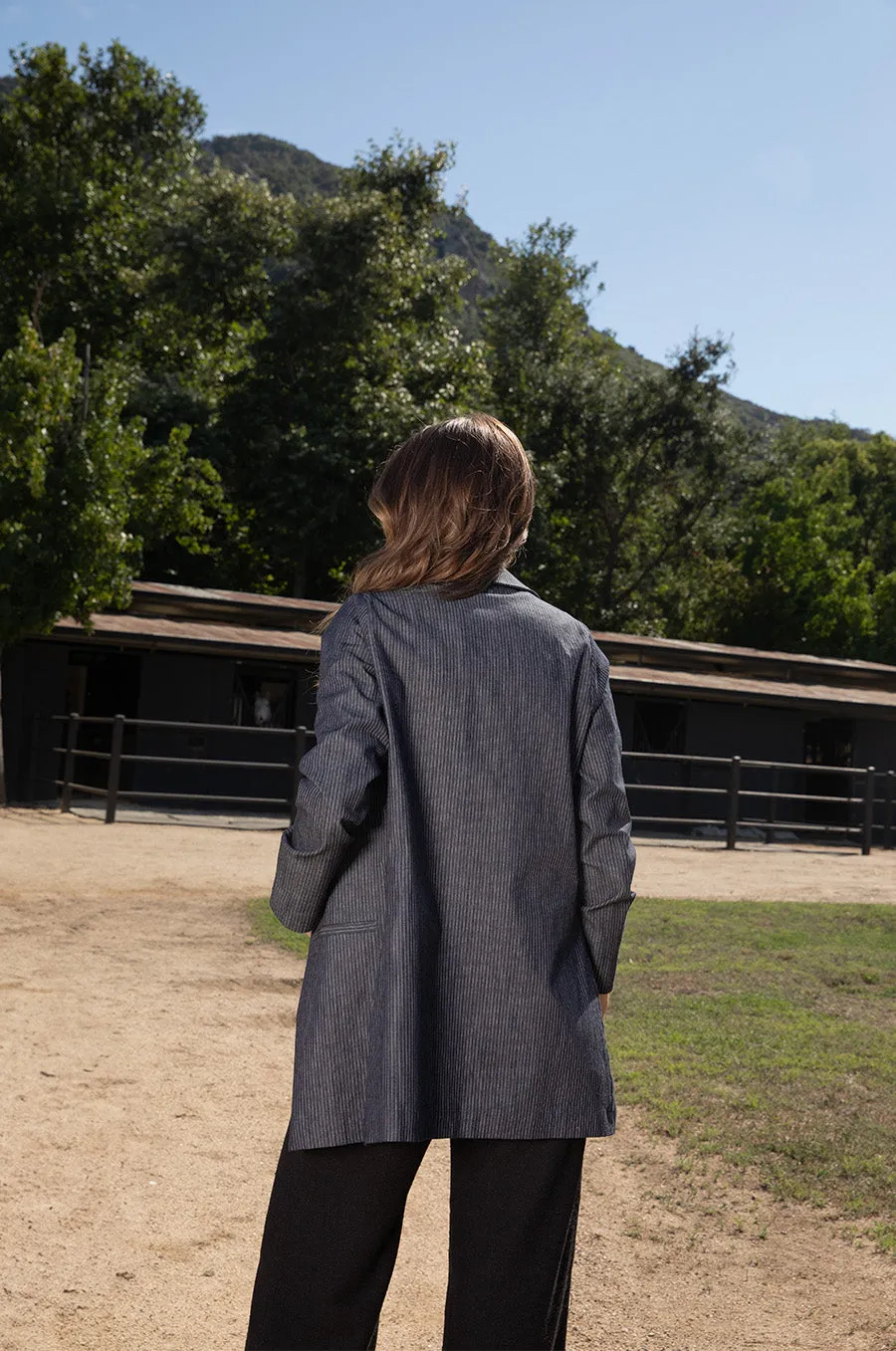 RELAXED BLAZER IN DENIM STRIPE